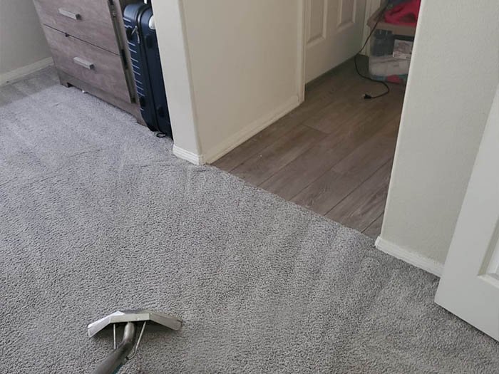 Aggressive Carpet Cleaning