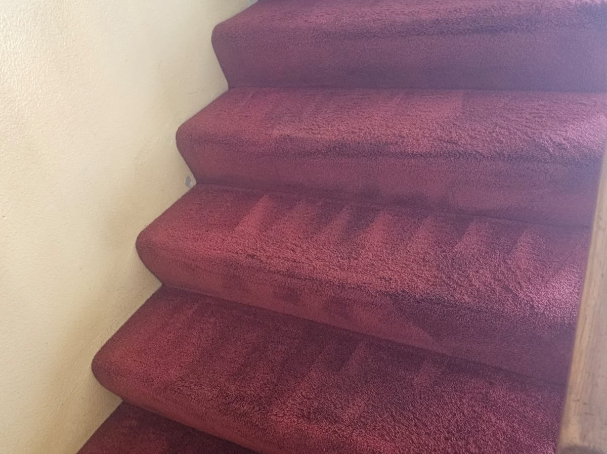 Aggressive Carpet Cleaning