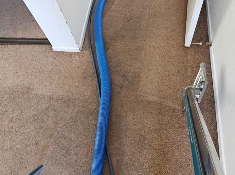 Aggressive Carpet Cleaning