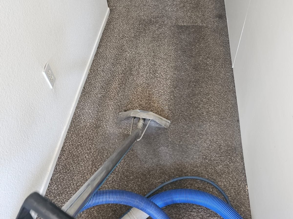 Aggressive Carpet Cleaning