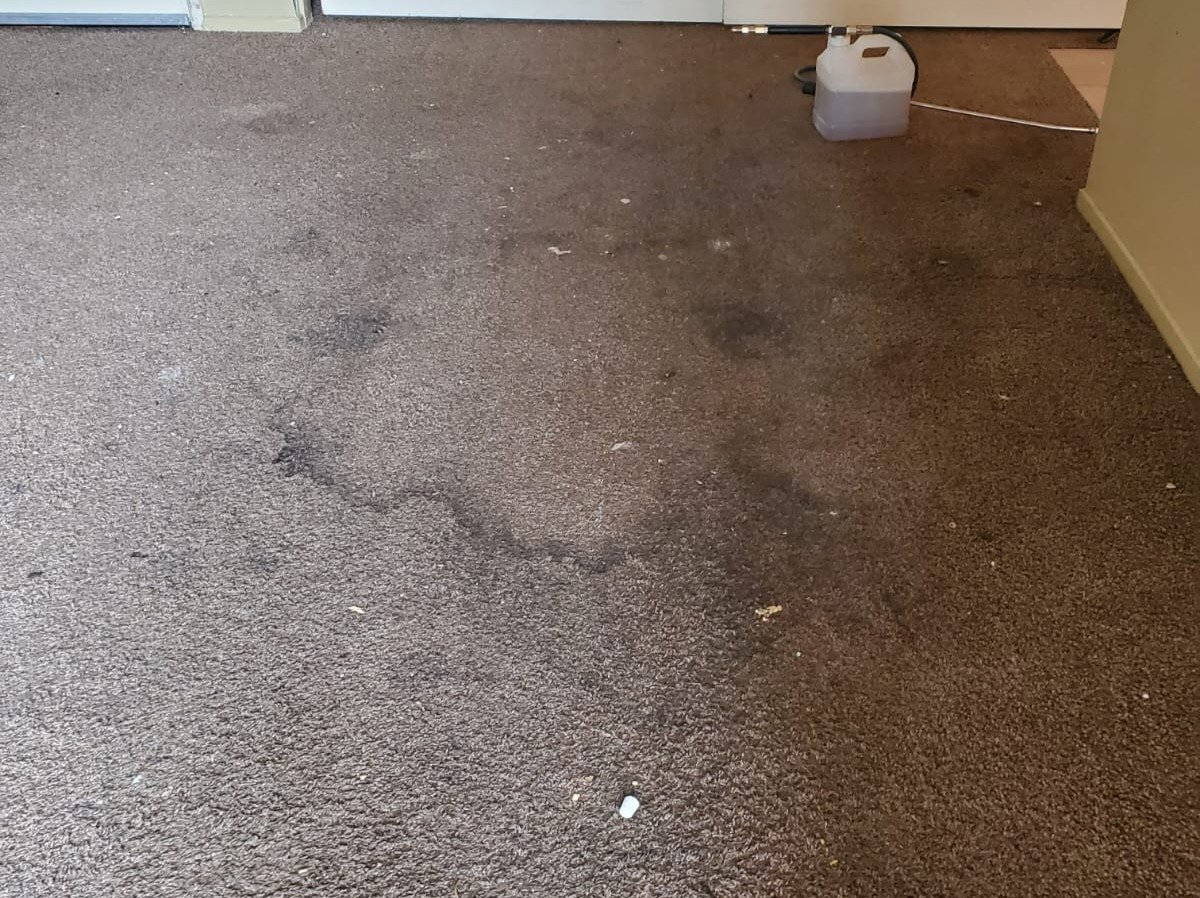 Aggressive Carpet Cleaning