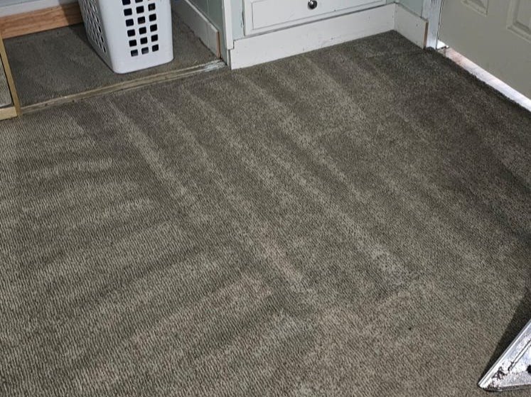 Aggressive Carpet Cleaning