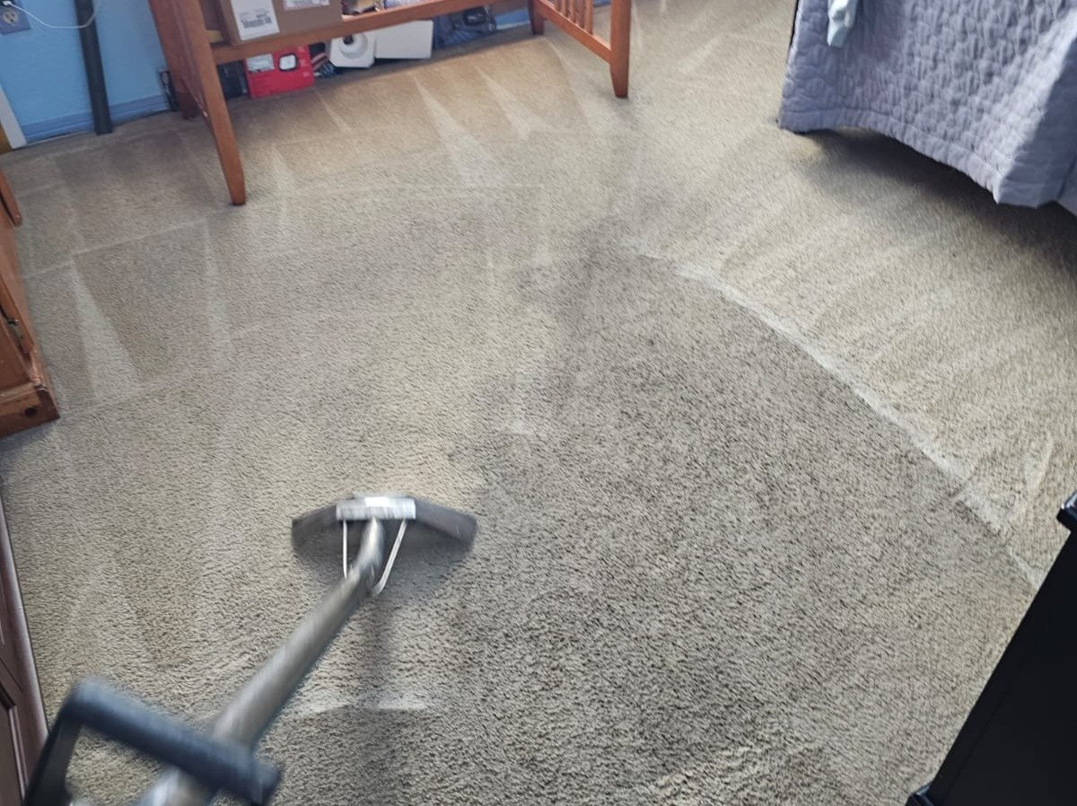 Aggressive Carpet Cleaning