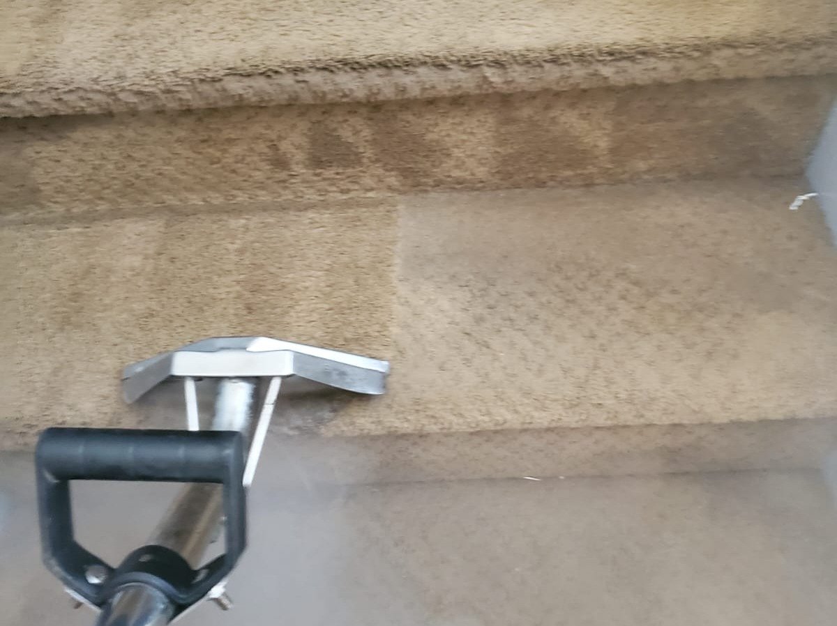 Aggressive Carpet Cleaning