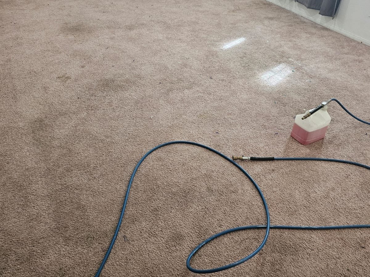 Aggressive Carpet Cleaning