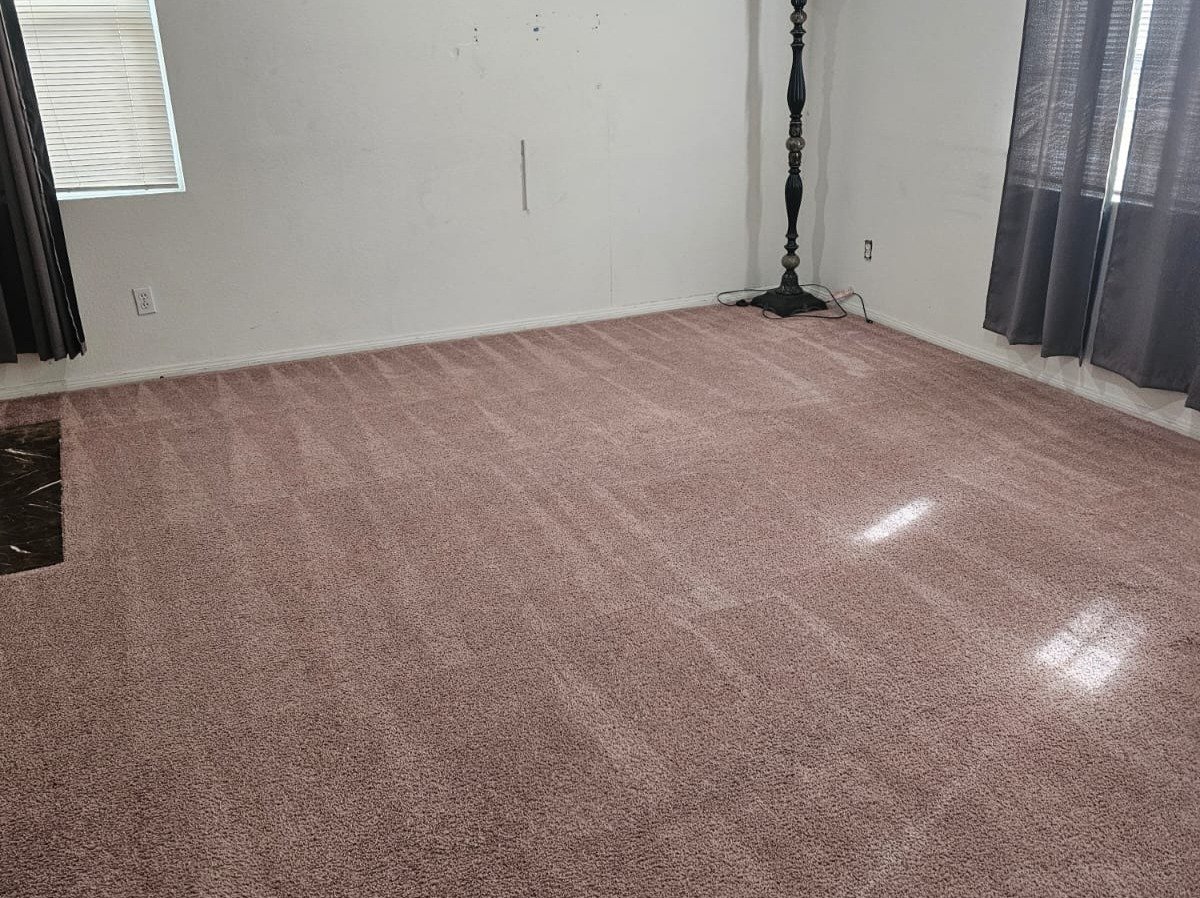 Aggressive Carpet Cleaning