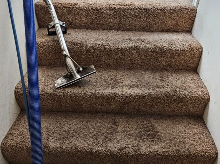 Aggressive Carpet Cleaning