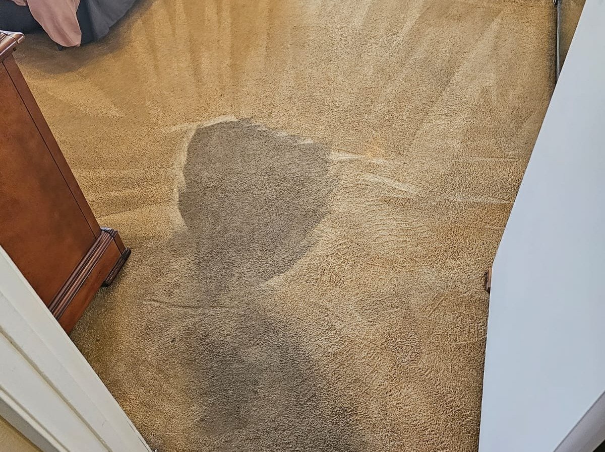 Aggressive Carpet Cleaning