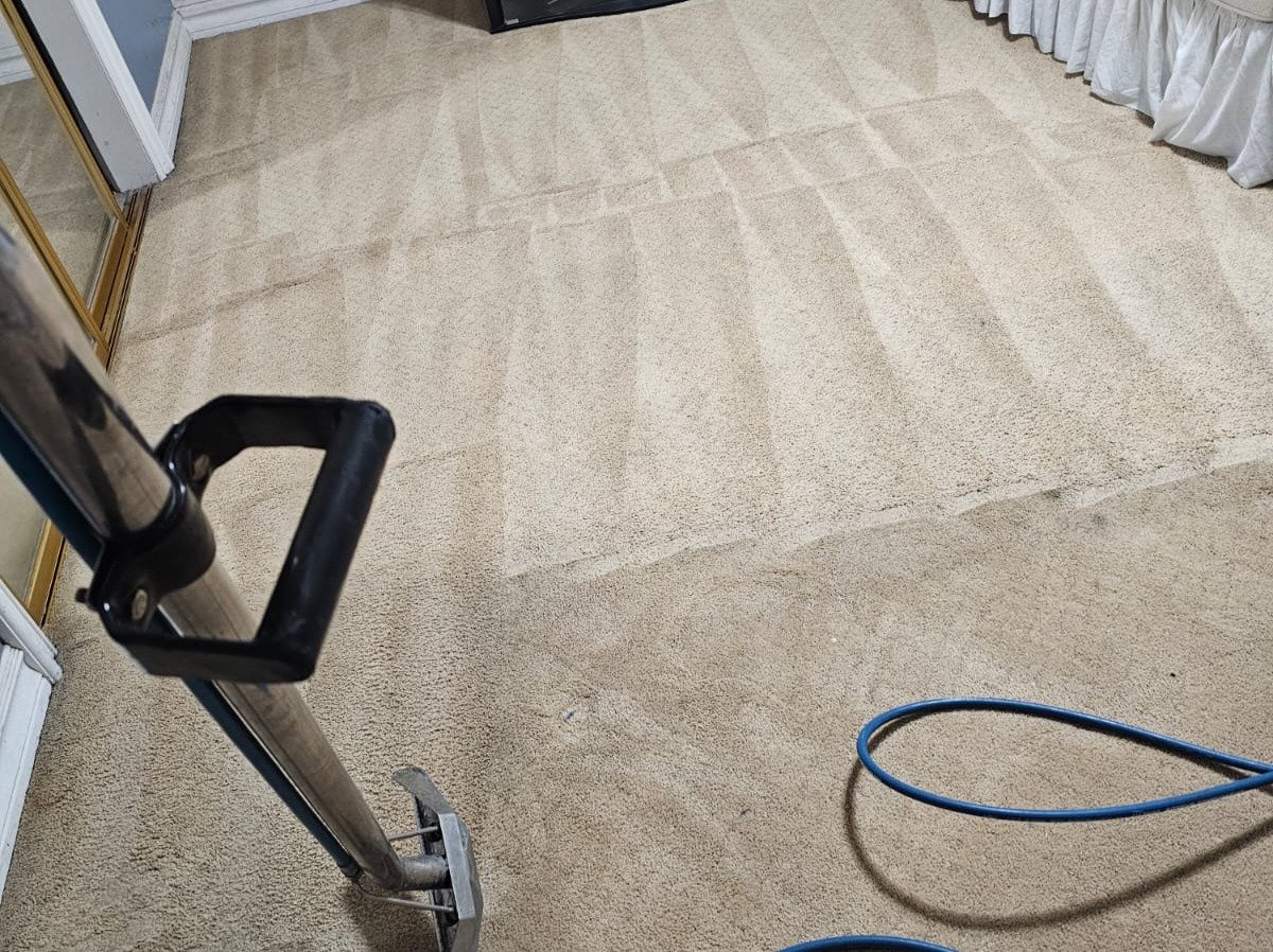 Aggressive Carpet Cleaning