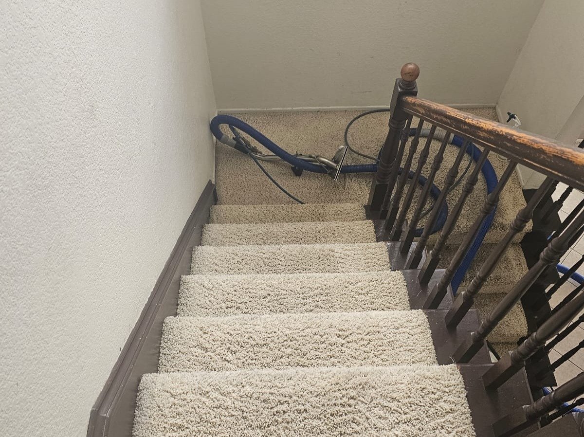 Aggressive Carpet Cleaning