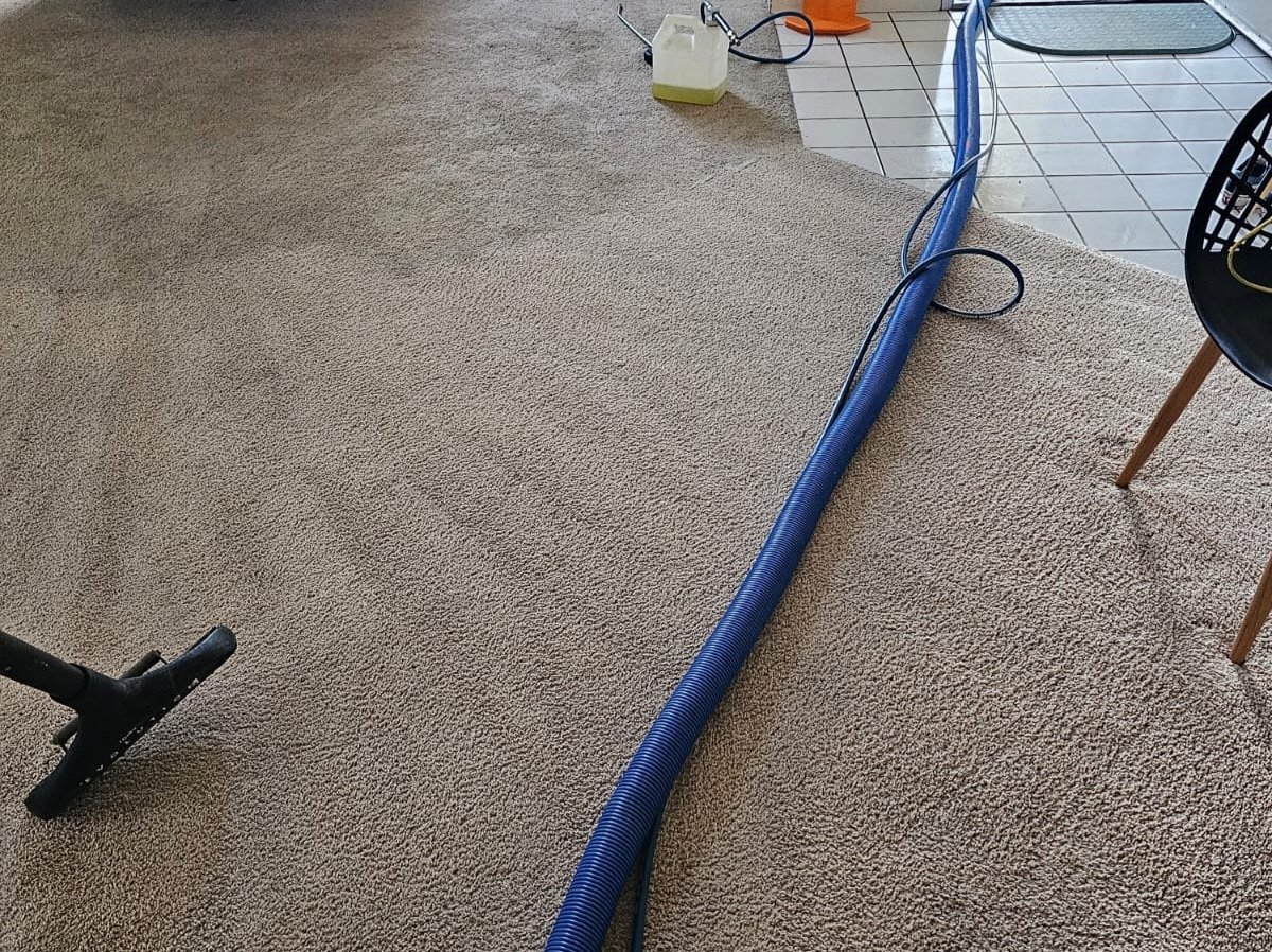 Aggressive Carpet Cleaning