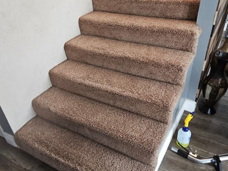 Aggressive Carpet Cleaning