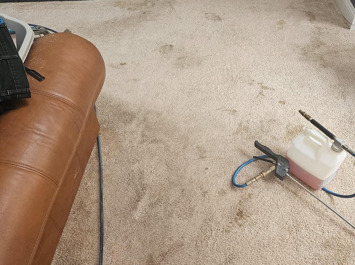 Aggressive Carpet Cleaning