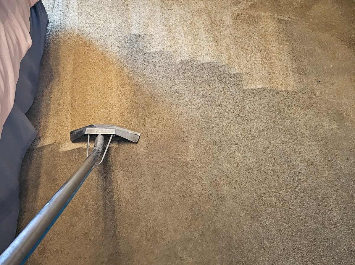 Aggressive Carpet Cleaning